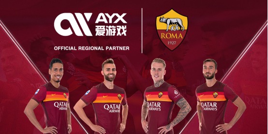 今后的发展