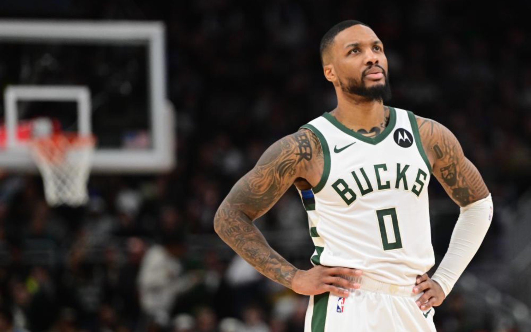 而这位新秀 而这位新秀