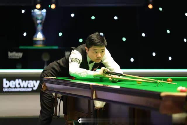 展现了极高 展现了极高