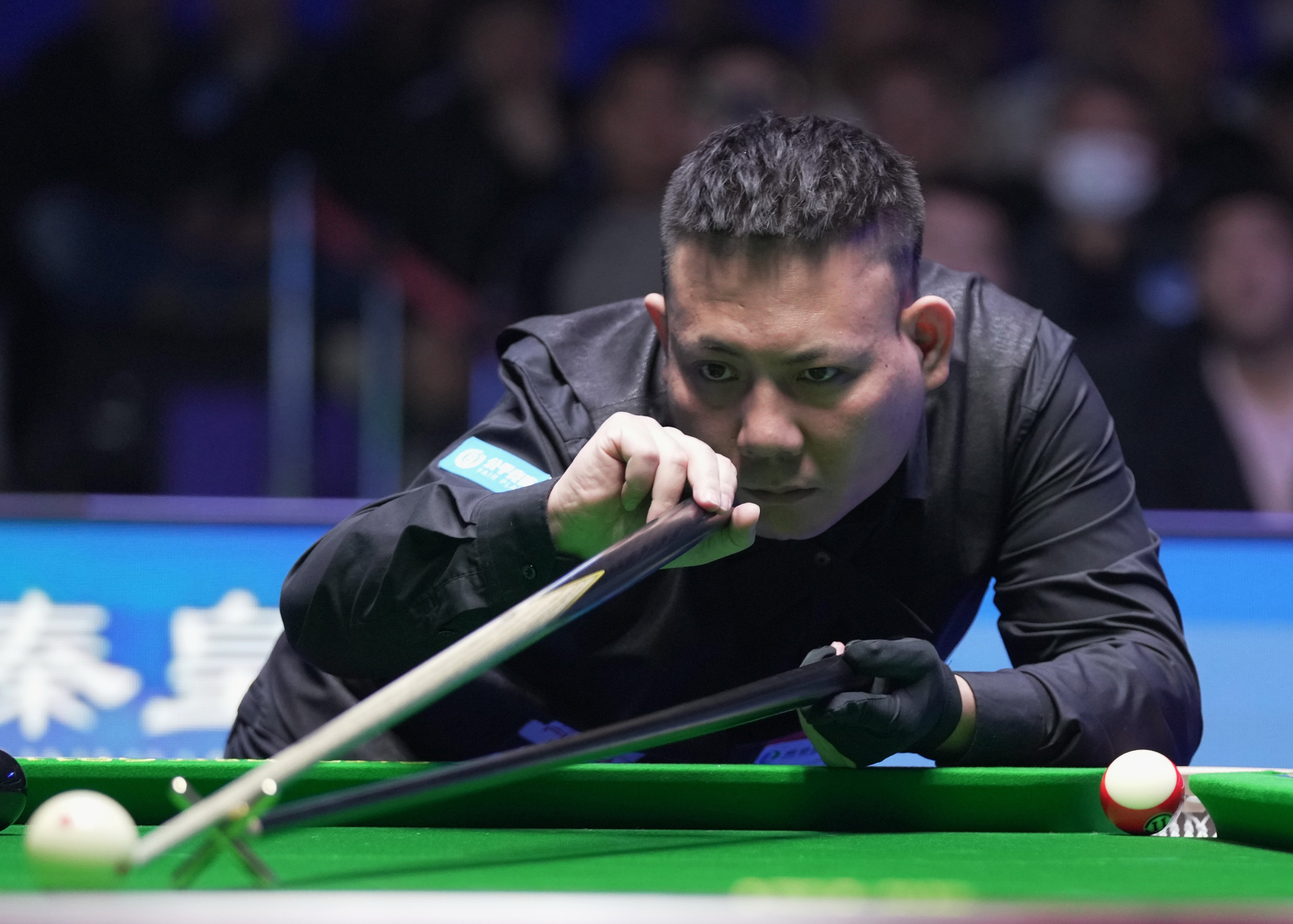 的身体特质 的身体特质