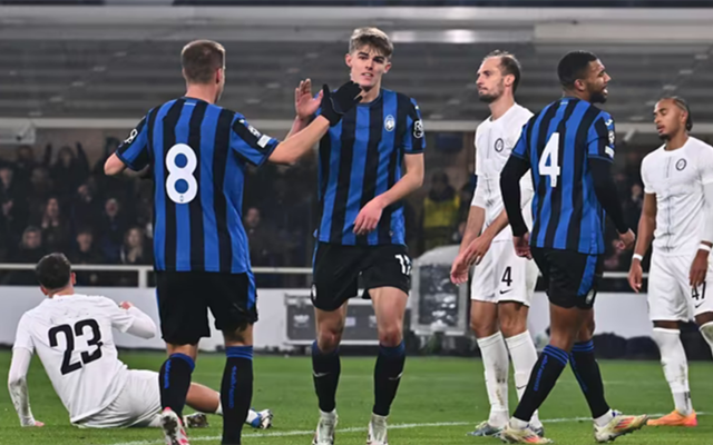 仅展示了卡 仅展示了卡